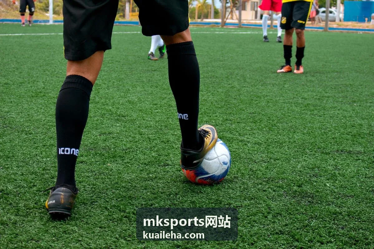 球类器材评测 mksports网站